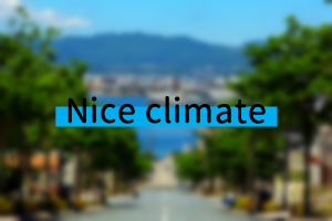 Nice climate