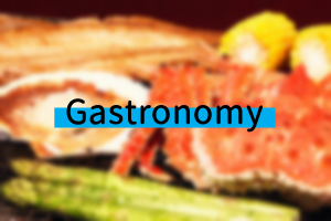 Gastronomy