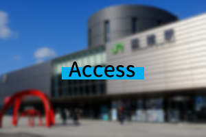 Access