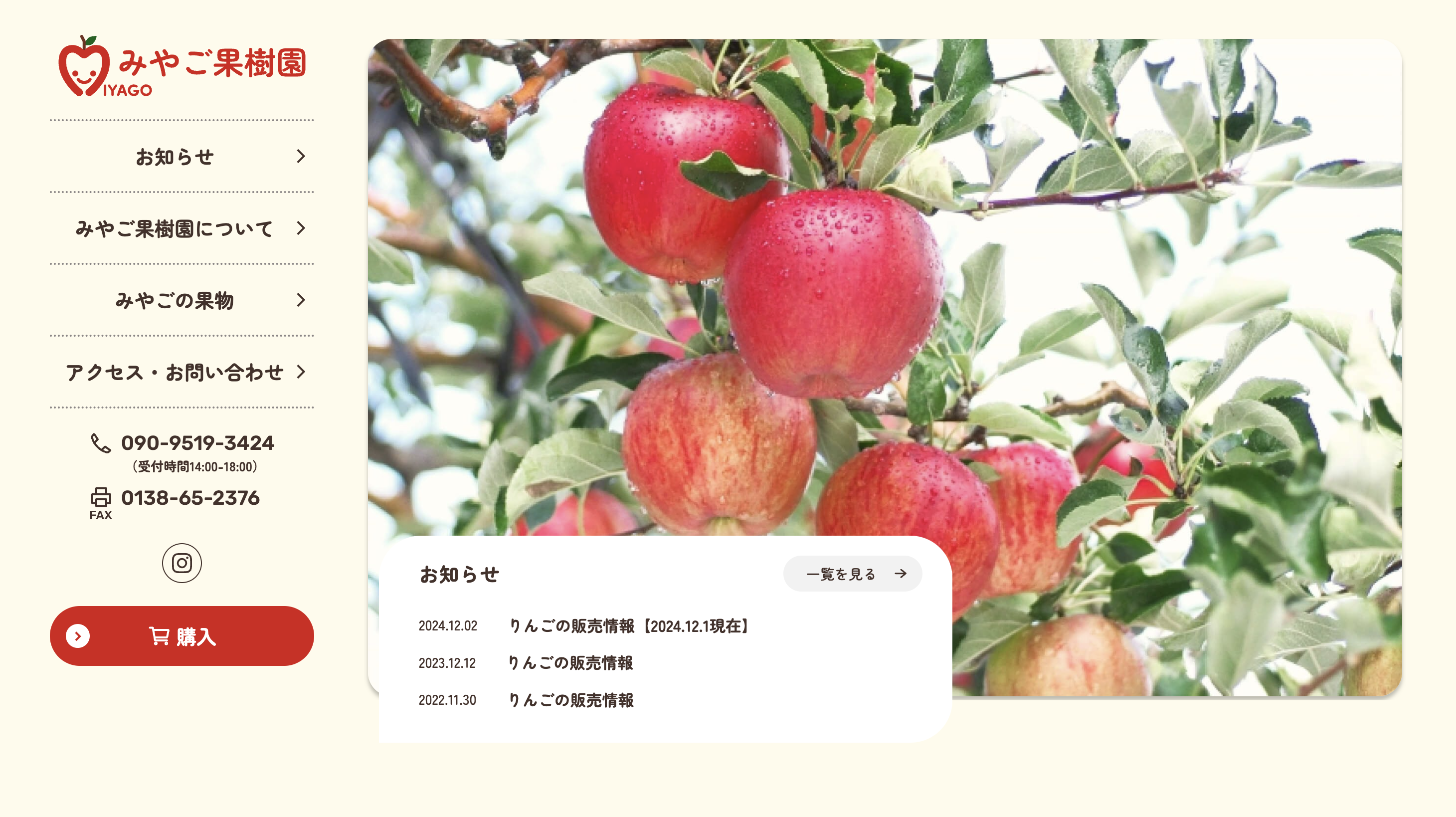 りんごページ☺︎ りんご様オーダーページ りんご様オーダー りんご りんご・専用【シ2×3